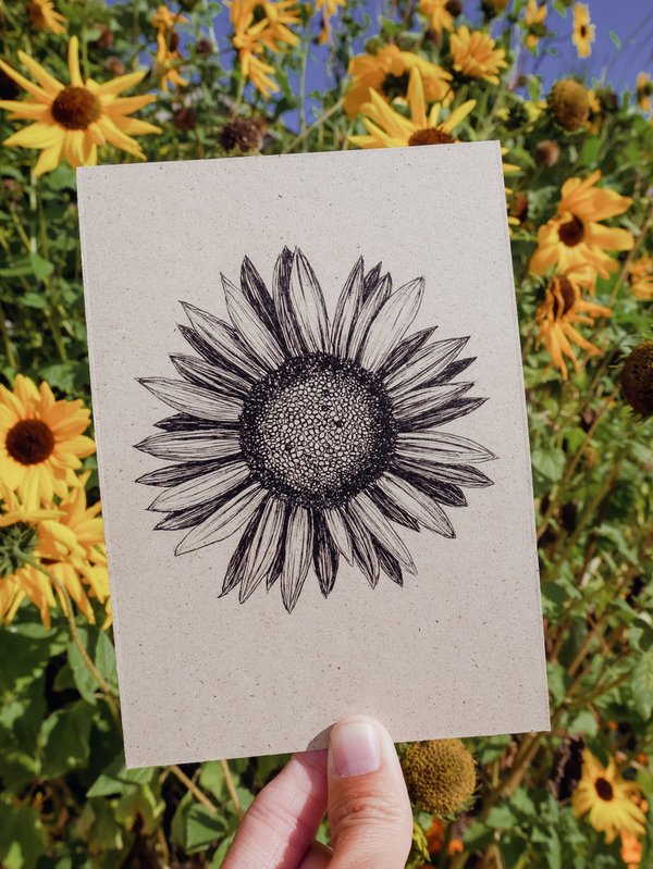 Postkarte - Sonnenblume