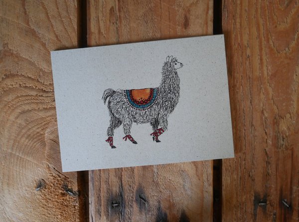 Postkarte - Lama
