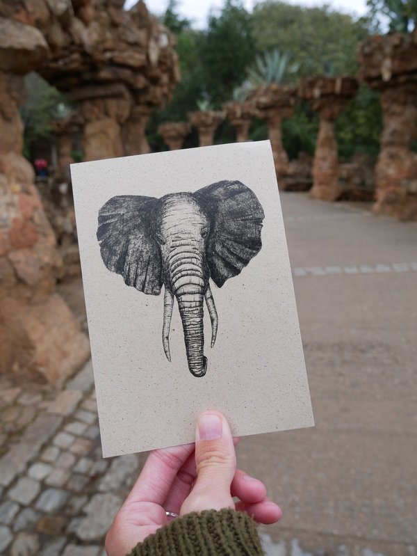 Postkarte - Elefant